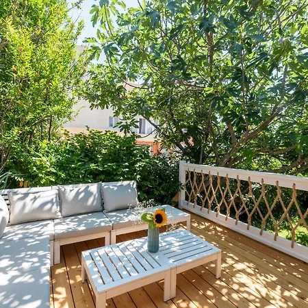 Friends Family Лозенец