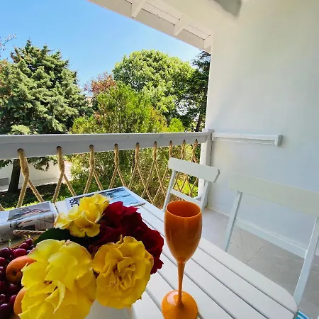 Friends Family * Лозенец