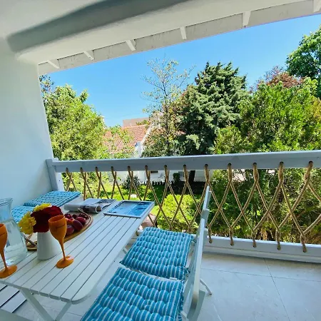 Friends Family Лозенец